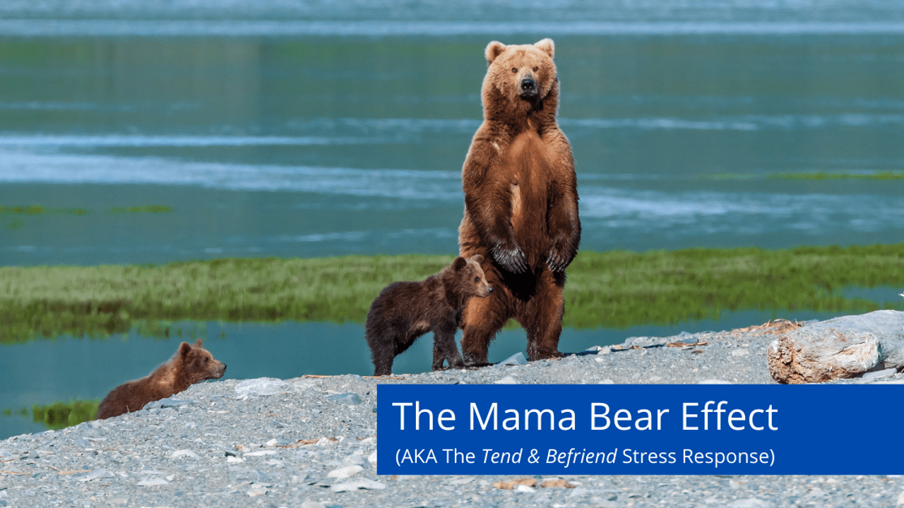 The-Mama-Bear-Effect